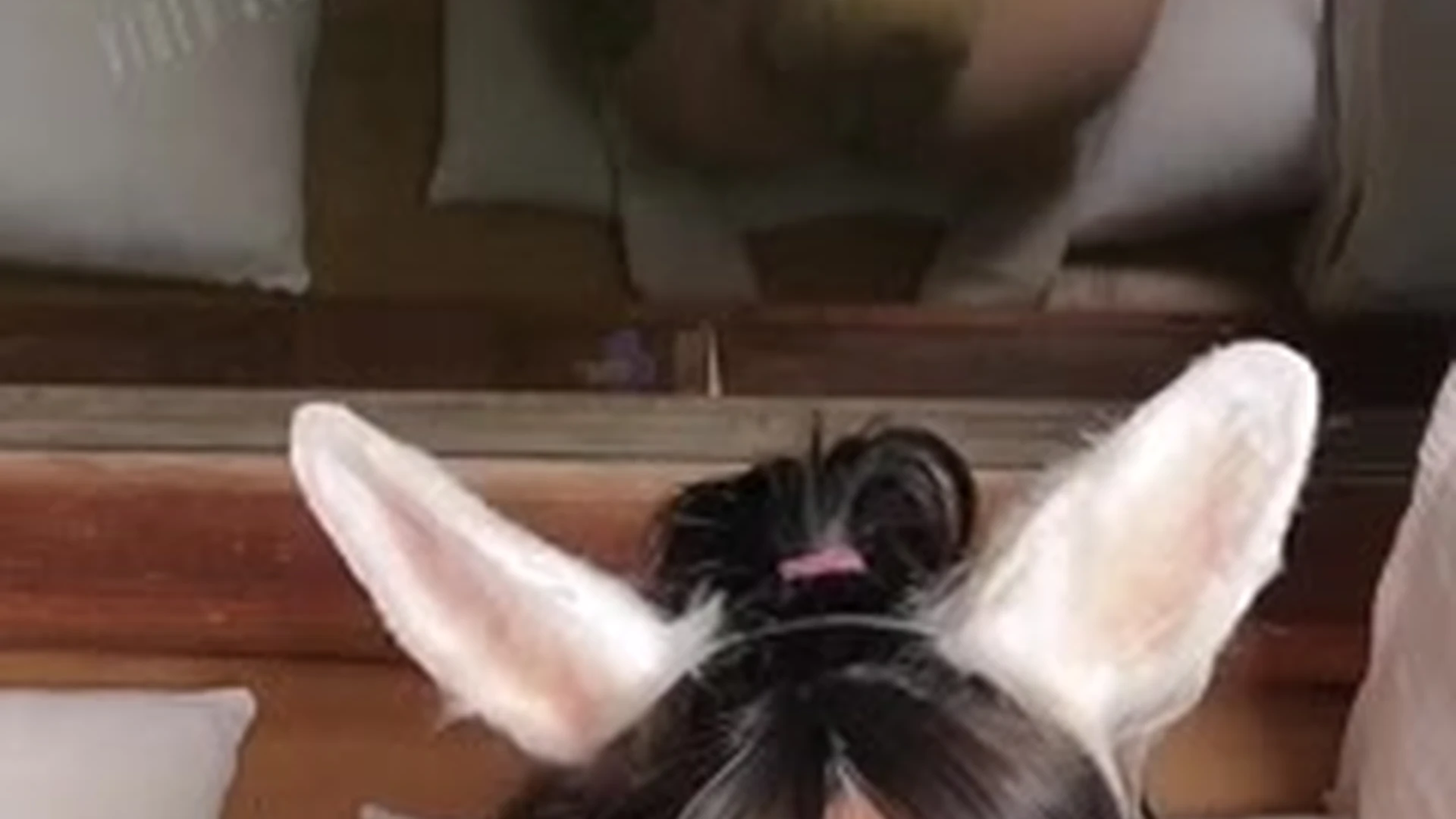 onlyfans leaked sextape of Amanda Welp giving an incredible blowjob