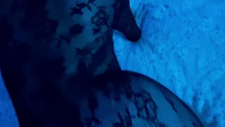 leaked sextape getting fucked from the back in onlyfans video