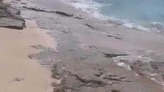 onlyfans leaked video of WoeAlexandra at the beach in a sexy lingerie