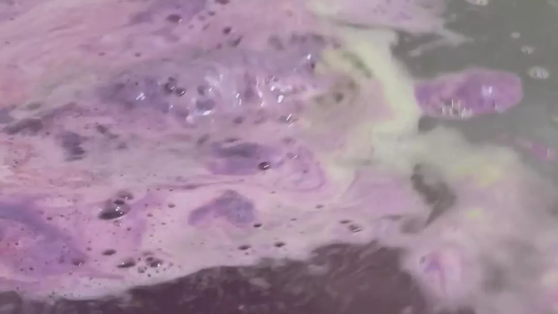 Emma Magnolia onlyfans showing off her small tits on camera