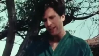 Christy Canyon getting fucked getting fucked and giving handjob and blowjob on camera