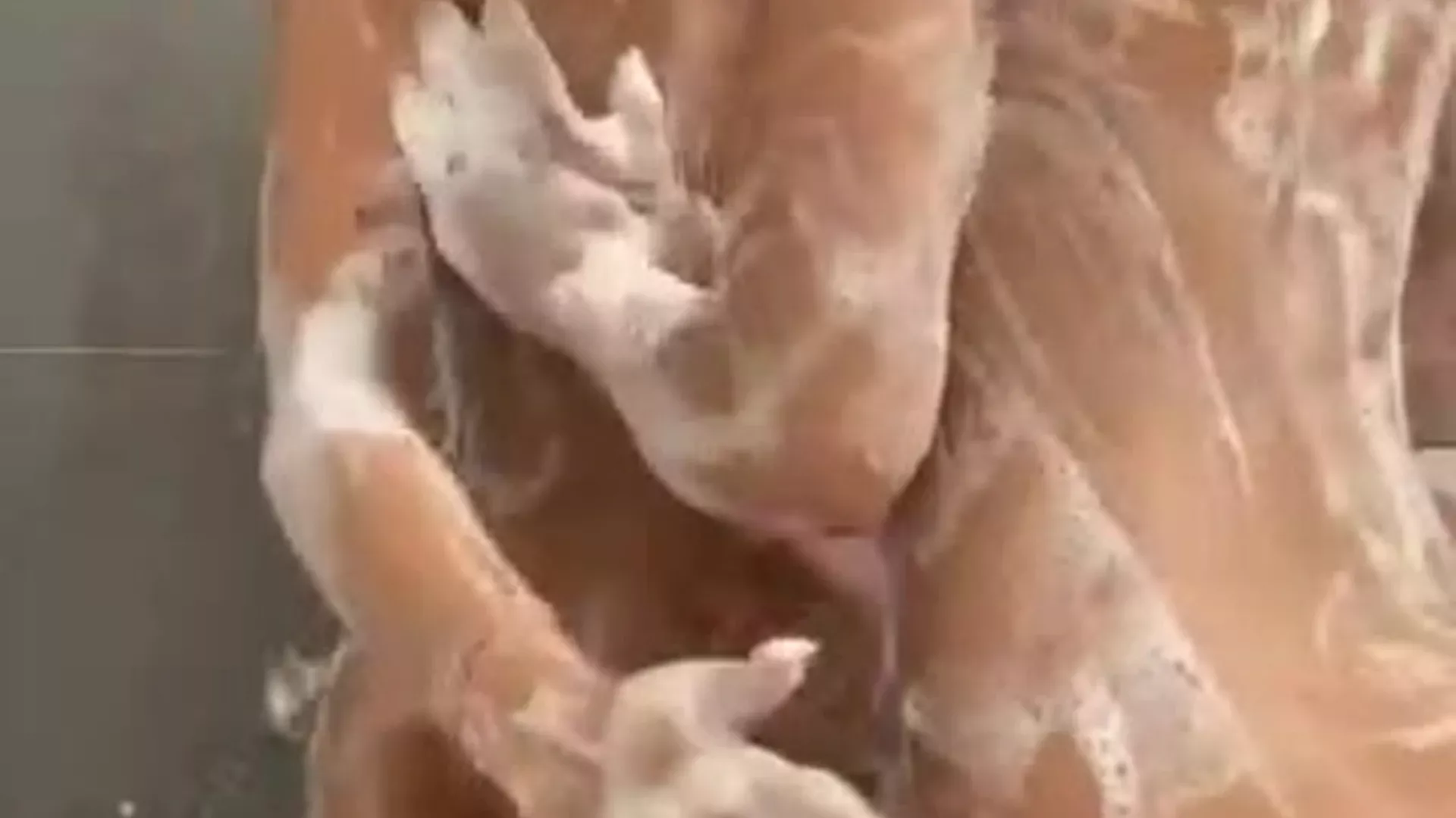 Connell Twins naked in the rubbing soap all over each other and shaking their ass